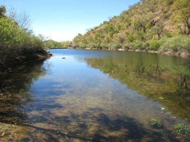 pantano de las jacarandas